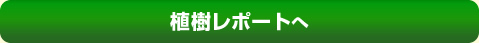 植樹レポートへ