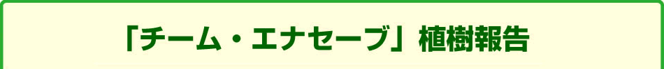 「チーム・エナセーブ」植樹報告