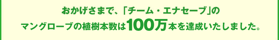 チーム・エナセーブにご参加いただきありがとうございました。