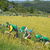 岡山県 美作市