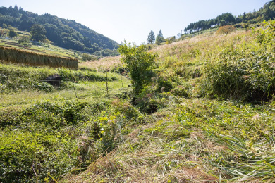 岡山県美作市