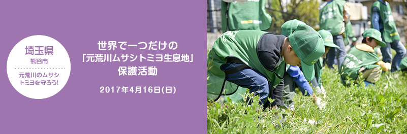 埼玉県 熊谷市 元荒川のムサシトミヨを守ろう！ 世界で一つだけの「元荒川ムサシトミヨ生息地」保護活動 2017年7月19日（日）