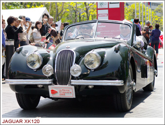 JAGUAR XK120